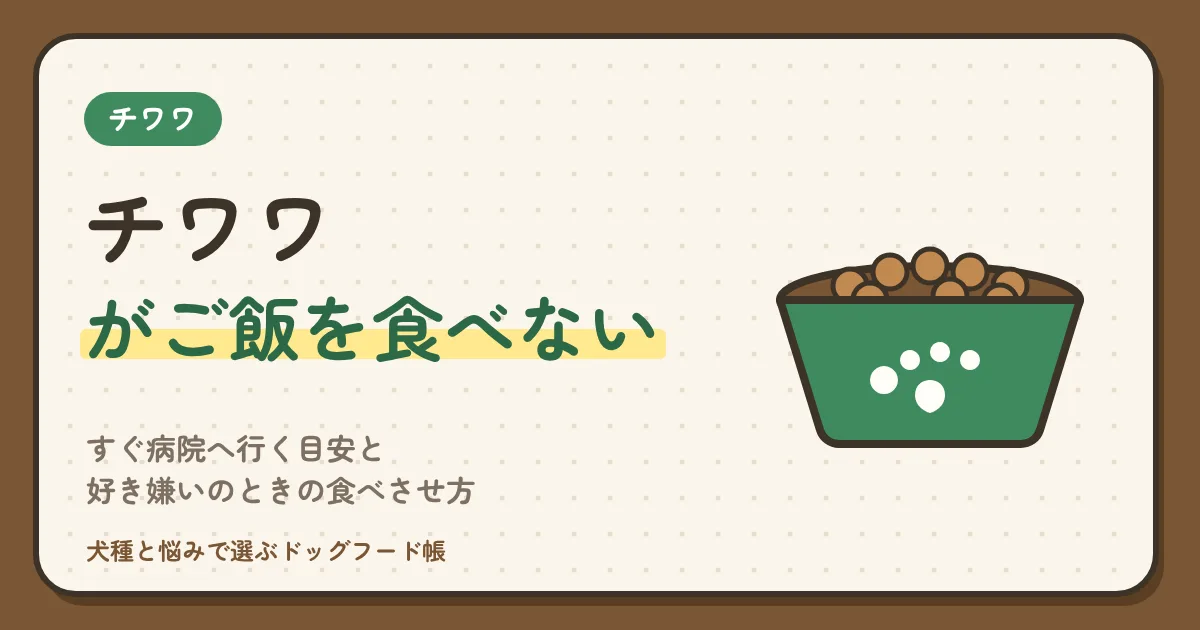 チワワがご飯を食べない｜すぐ病院へ行く目安と、好き嫌いのときの食べさせ方、粒とお試しで選ぶフード