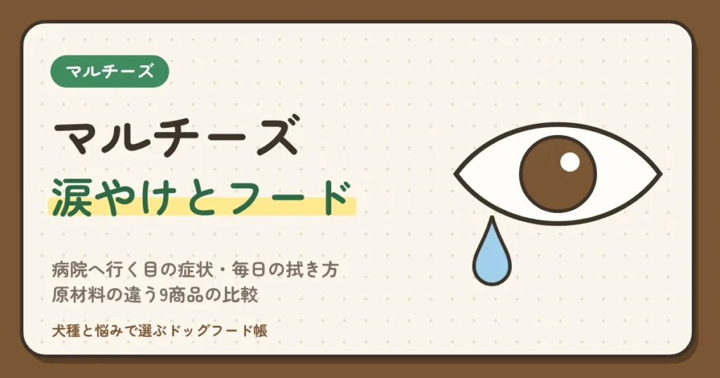 マルチーズの涙やけ、フードを替える前に｜病院へ行く目の症状・毎日の拭き方・原材料の違う9商品の比較