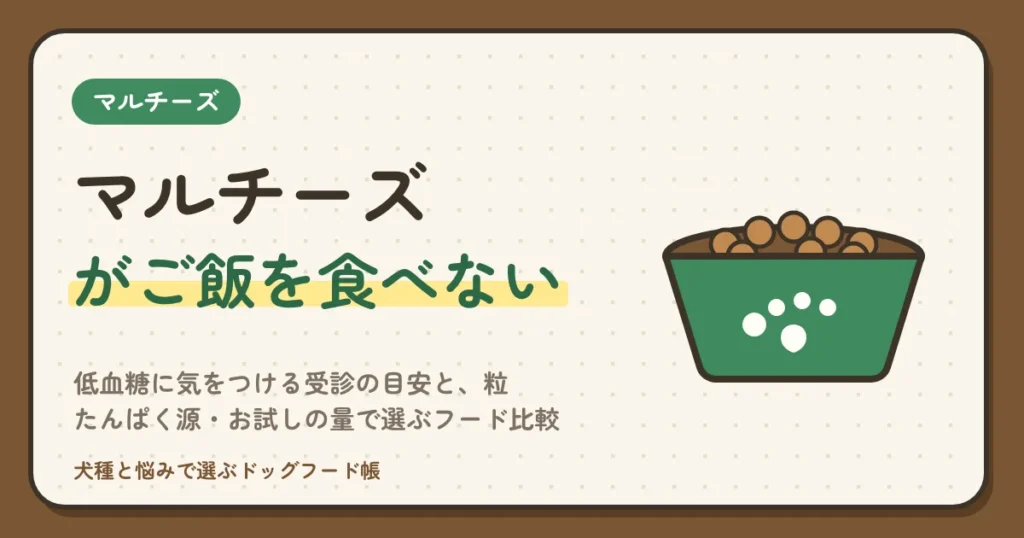 マルチーズがご飯を食べない｜低血糖に気をつける受診の目安と、粒・たんぱく源・お試しの量で選ぶフード比較