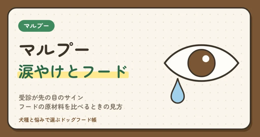 マルプーの涙やけ｜受診が先の目のサイン、拭き取りと記録のしかた、フードの原材料を比べるときの見方