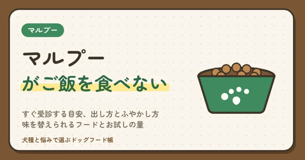 マルプーがご飯を食べない｜すぐ受診する目安、出し方とふやかし方、味を替えられるフードとお試しの量
