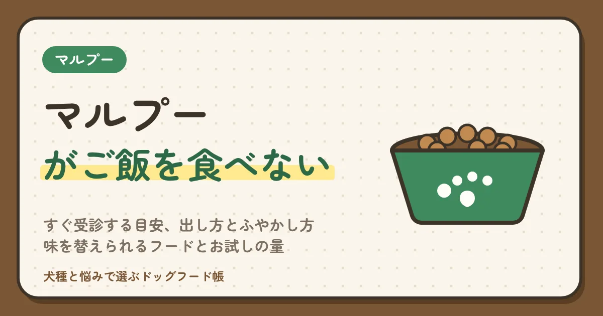 マルプーがご飯を食べない|すぐ受診する目安、出し方とふやかし方、味を替えられるフードとお試しの量
