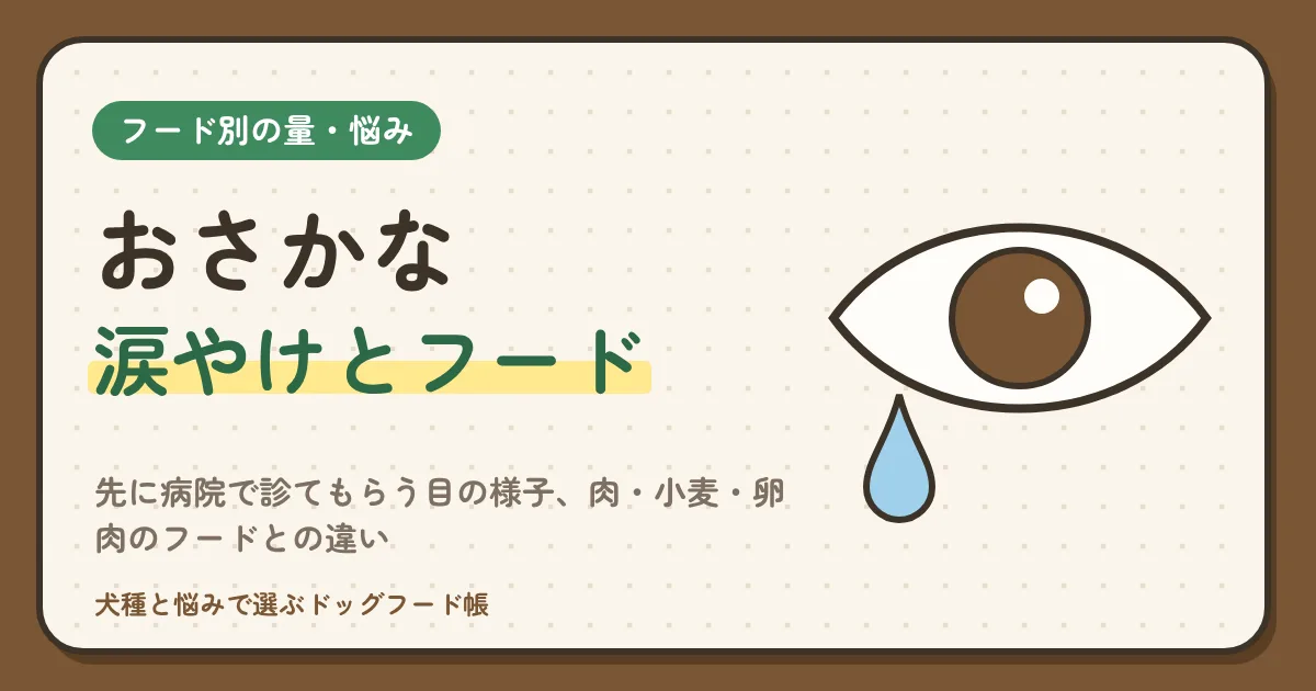 おさかなと涙やけ｜先に病院で診てもらう目の様子、肉・小麦・卵・乳を使わない原材料と添加物、肉のフードとの違い、400gで見られる日数と記録のしかた