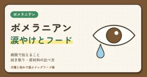 ポメラニアンの涙やけ、フードの前に受診の目安を｜病院で伝えること・拭き取り・原材料の比べ方