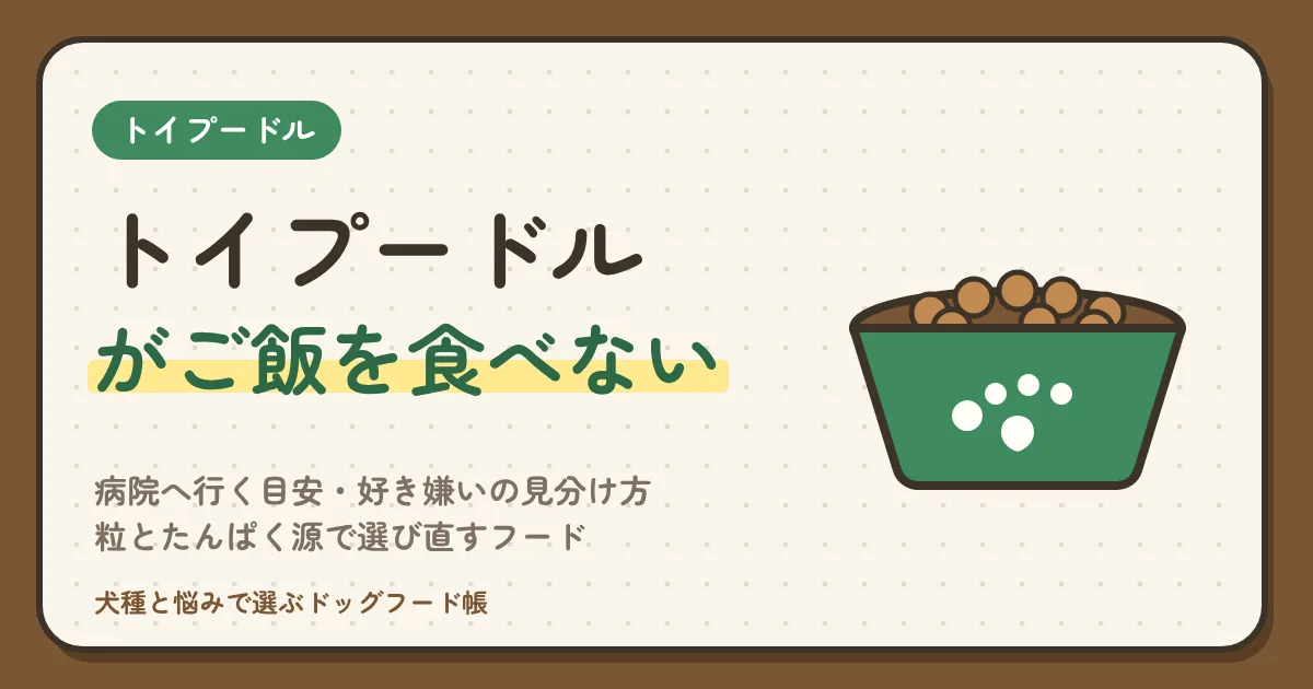 トイプードルがご飯を食べない|病院へ行く目安・好き嫌いの見分け方・粒とたんぱく源で選び直すフード