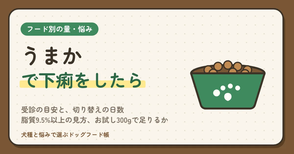 うまかで下痢をしたら？受診の目安と、切り替えの日数・給与量の帯と計算式・脂質9.5%以上の見方、お試し300gで足りるか