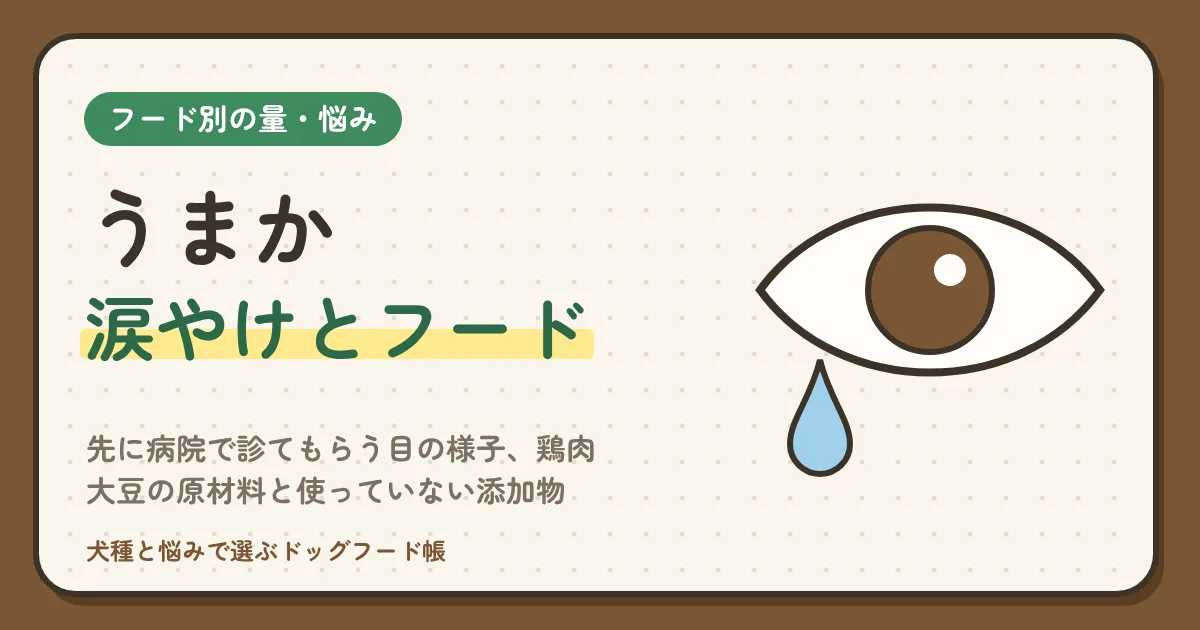 うまかと涙やけ｜先に病院で診てもらう目の様子、鶏肉・かつお節・大豆の原材料と使っていない添加物、口コミの読み方、お試し30gからの切り替えの日程