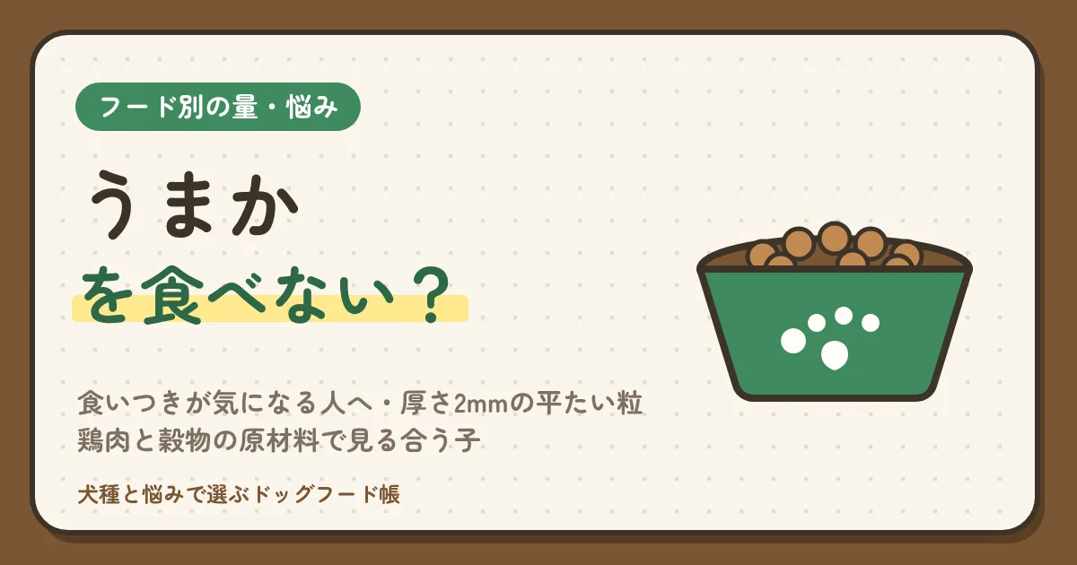 うまかを食べない犬はいる?食いつきが気になる人へ|厚さ2mmの平たい粒・鶏肉と穀物の原材料で見る合う子、お試し30gから始める順番と替え先
